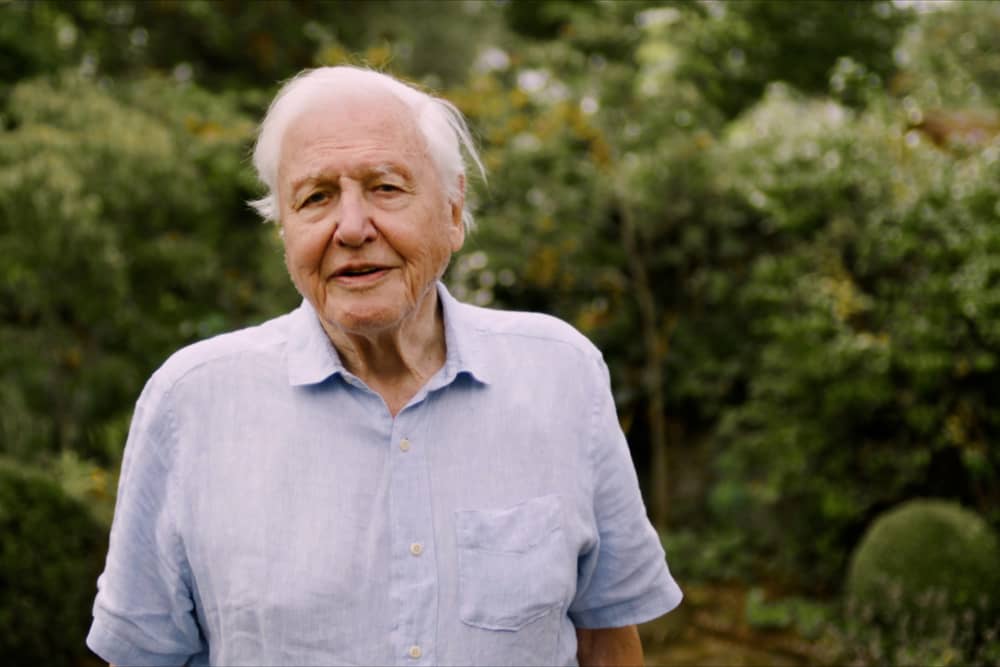 Sir David Attenborough is encouraging people to support the Rothbury Appeal