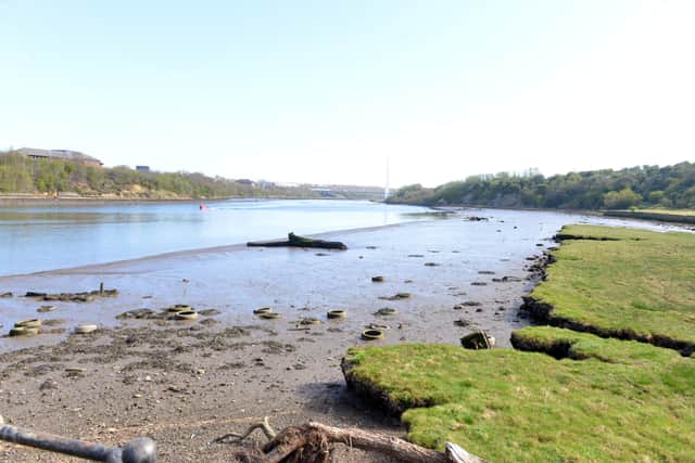 The saltmarsh and mudflats at Claxheugh Rocks