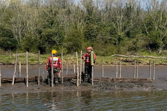 The Saltmarshes play a vital role in the biodiversity of the river