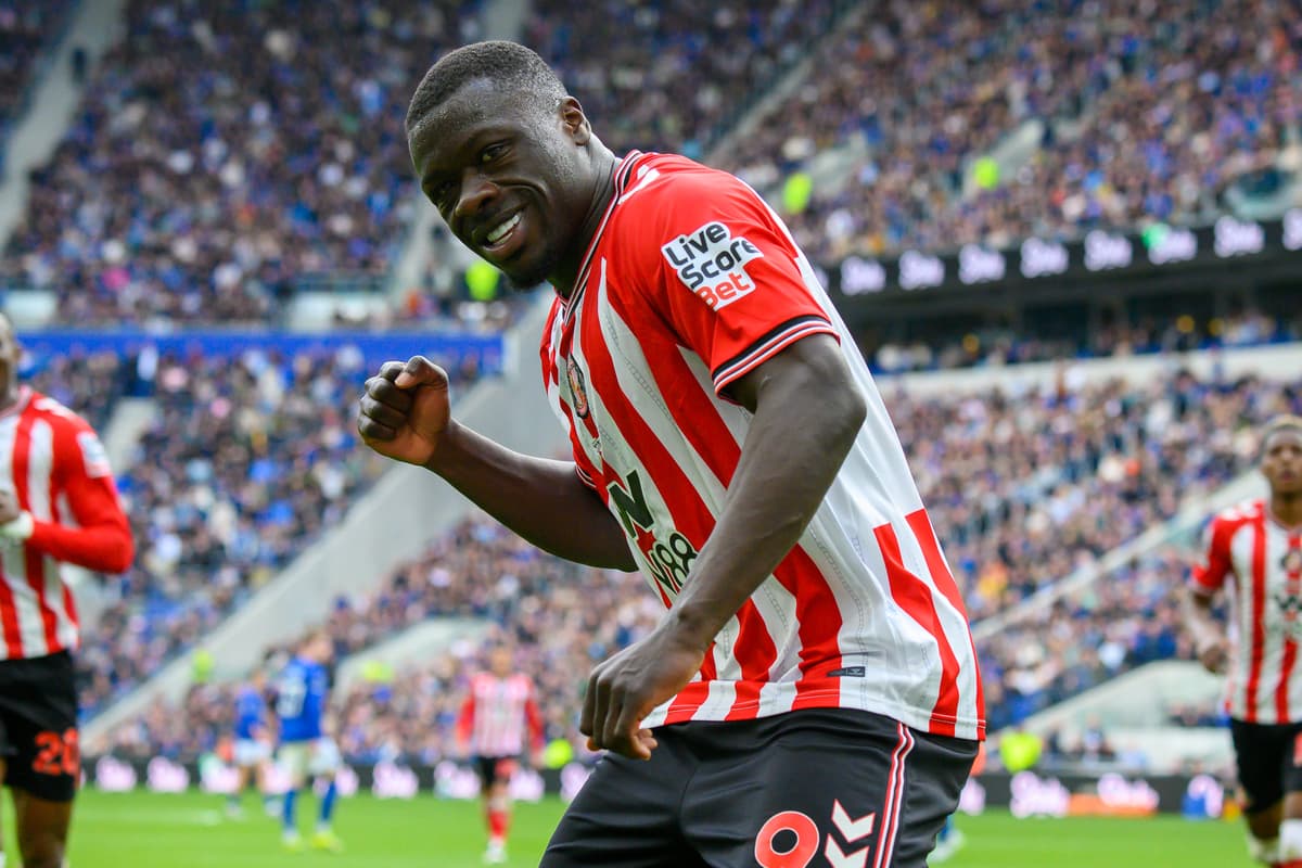 I just watched Sunderland's stunning comeback win at Everton - this was ...