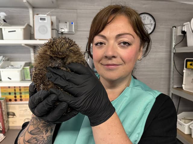 Hospital founder Claire Foster with Dodger the hedgehog.