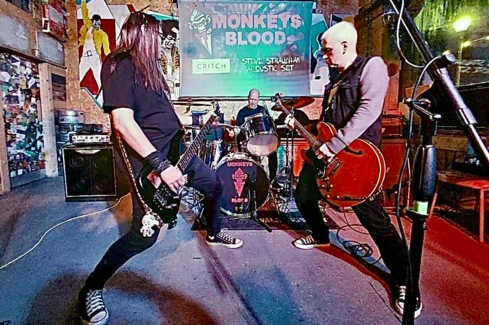Monkeys Blood are among the performers at Park Live