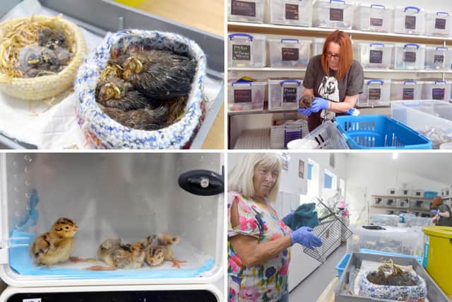 Some of the animals and volunteers at the charity.