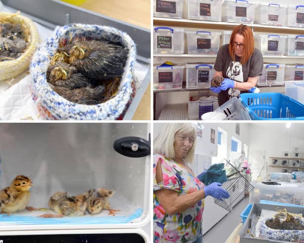 Some of the animals and volunteers at the charity.