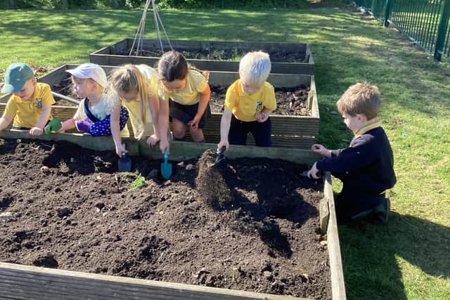 Children enjoying the school garden.
