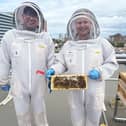Gregory Boyle, Revenue Manager with the beehives on the roof at Hilton Garden Inn Sunderland with Gareth Freeman, GM