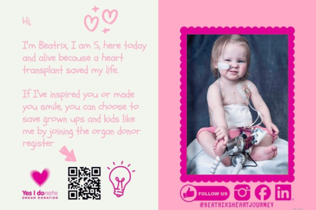 These are the cards that Beatrix will hand out to spectators as she does the Mini Great North Run.