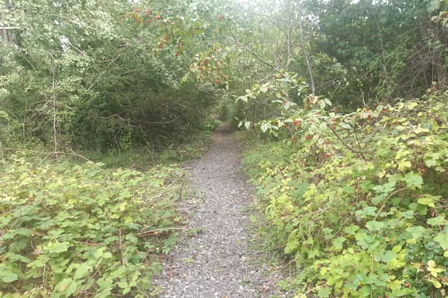 The old Washington railway line between Barmston and Columbia which is set to be reopened as part of the Metro to Washington extension.