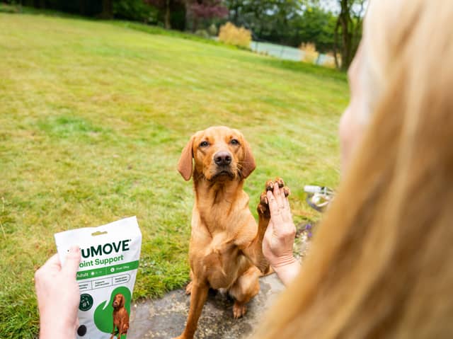 YuMove's special offers make it more affordable to support your furry friend