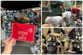 Festive finds at TCL Christmas Shop