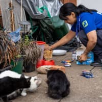 Chester-le-Street animal centre joins national pet rehoming campaign
