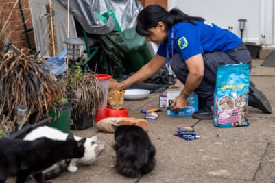 Chester-le-Street animal centre joins national pet rehoming campaign