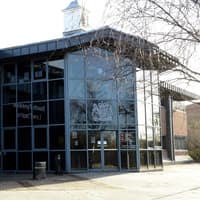 Man could be jailed after footage catches him punching dog in Sunderland