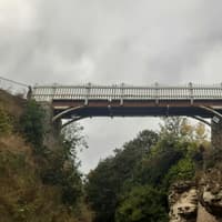Work on Sunderland's historic Roker Park footbridge to start 'next year'