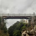 The footbridge over the ravine at Roker Park has been out of use for some years.
