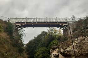 The footbridge over the ravine at Roker Park has been out of use for some years.