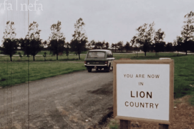 Lambton Lion Park opened in 1972 and attracted visitors for 8 years until its closure.