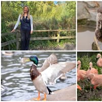 Changes take flight at Washington Wetland Centre - here's what to expect at the local favourite