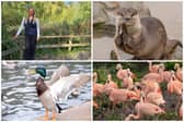 Changes take flight at Washington Wetlands Centre