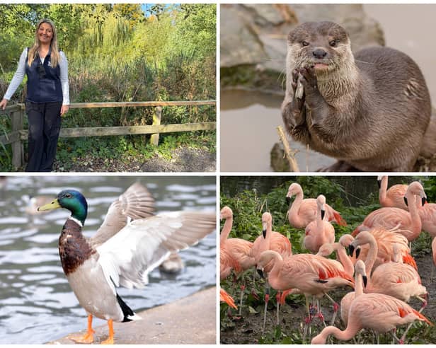 Changes take flight at Washington Wetlands Centre