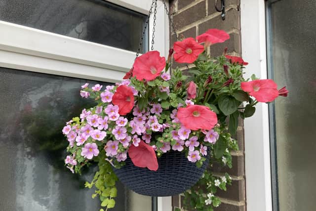 Hanging baskets at Sunderland Millfield Salvation Army 