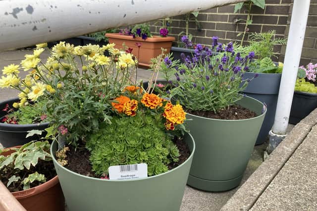 Planting at Sunderland Millfield Salvation Army 