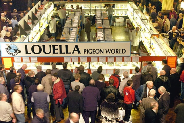 The British Homing World Pigeon Show in 2005