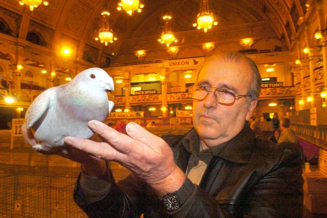 Peter Kendall inspects a pigeon in 2008