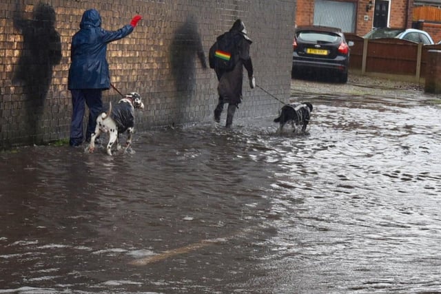 Dog walkers pick their moment to go under the flooded bridge on Buckley Street