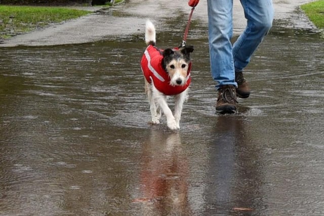 A dog walker braves the rain in-between downpours