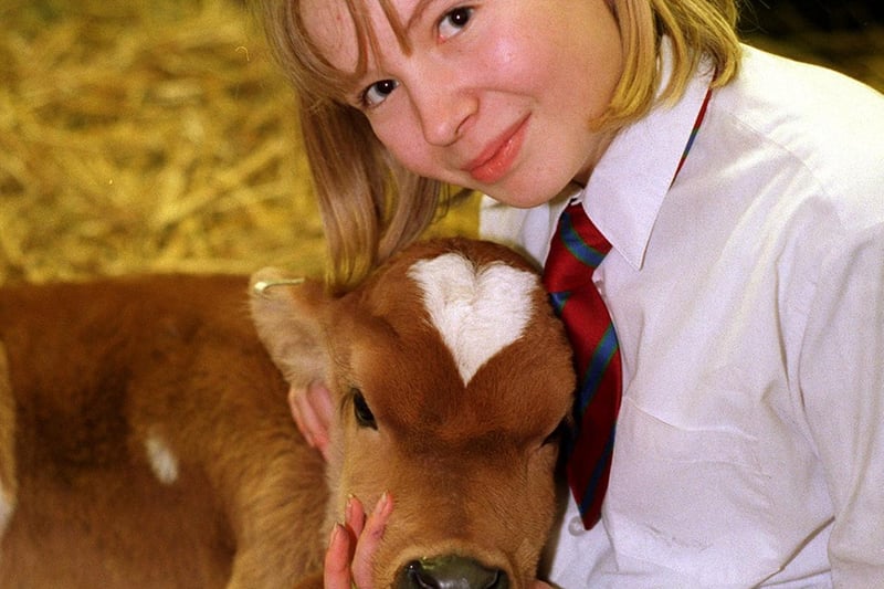 Louise Rinder from Garforth Community College is pictured with one of two Jersey calves which the school was rearing at its farm unit before sending them to Uganda through the 'Send a Cow' charity.