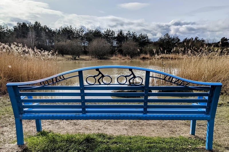 Julia Suzanne showed off her eye for detail with this snap of a colourful bench at Nostell.