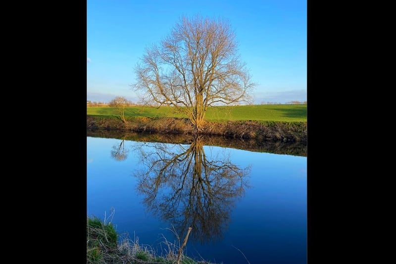 Sarah Moo Horncastle wrote: "River Calder near Horbury Lagoon, couldn’t resist the reflection."