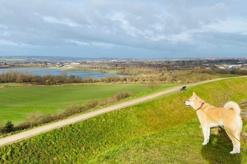 Tammy Gotts took this impressive shot of the view from Sandal Castle during a bright March dog walk.