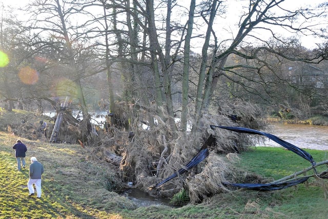 Aftermath of the unprecedented flooding in Lancaster and surrounding area in 2015 after Storm Desmond hit. Low Road at the Crock O'Lune near Caton was closed by flood debris and damage- debris tangled in trees near the river.  PIC BY ROB LOCK.
