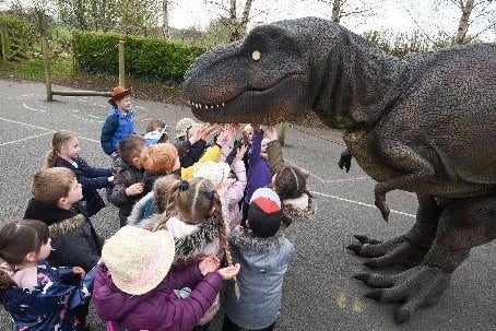 Dinosaurs pay a visit to children at Kirkland and Catterall St Helen's Primary School, photo: Daniel Martino