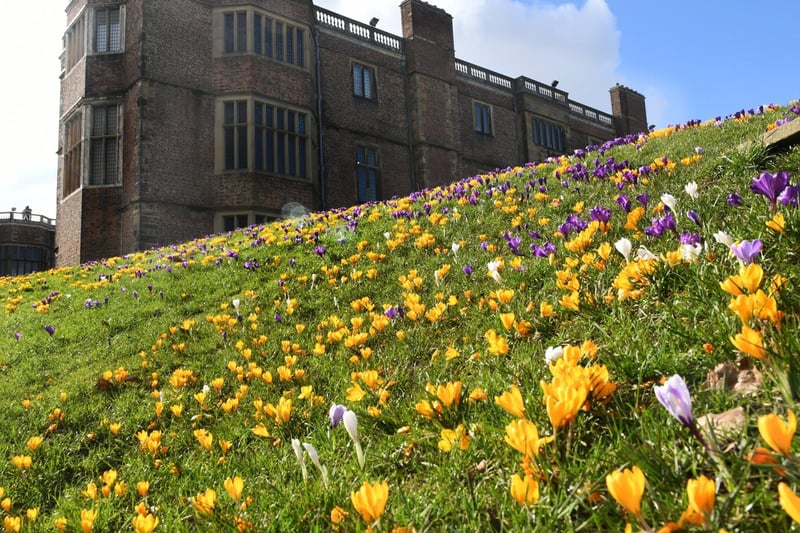 For a trawl around a luscious estate, stately home and even a visit to a small animal farm, Temple Newsam is a great option. Located at Temple Newsam Rd, Leeds LS15 0AE.