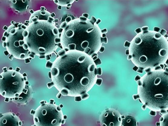 Coronavirus news
