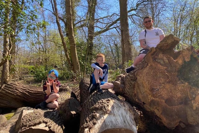 Abigail Mackey-Fitzsimons wrote: "Tilgate park.. we have had plenty of time to explore the woodlands. Even though we’ve lived in Tilgate for years we never had enough time to enjoy long walks."