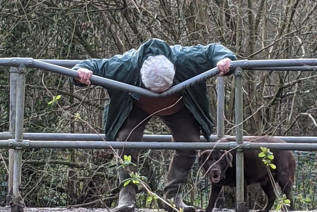Andy Stevens wrote: "This pretty much sums up 2020 for me. Taken on a circular walk from Crawley to Horley and back again, on a bridge that had previously been damaged by a fallen tree."