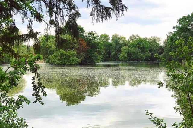 Nick Duke wrote: "Discovered the beauty on my doorstep, including Worth Park."
