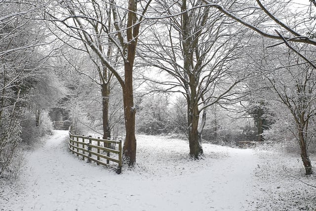 More snow shots from Milton Keynes. By Gosia Palenga
