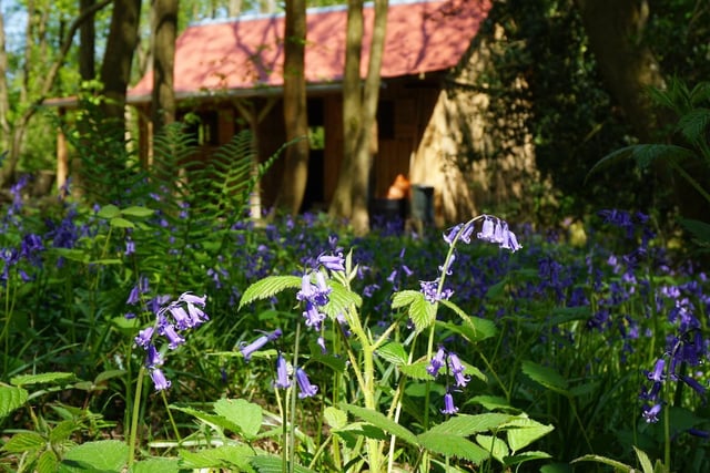 Choose your accommodation from two spacious yurts and four cabins, all set within six acres of woodland and gardens close to the ancient Ashdown Forest. The owners are passionate about self-sufficiency, reducing their carbon footprint and sustainability.