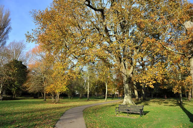 Hotham Park, Bognor. Pic Steve Robards SR2011142 SUS-201114-130236001