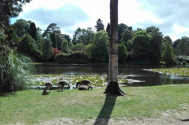 Sheffield Park has acres of landscaped garden, parkland and woodland perfect for a scenic picnic. Picture: Elaine Hammond SUS-170627-101555001