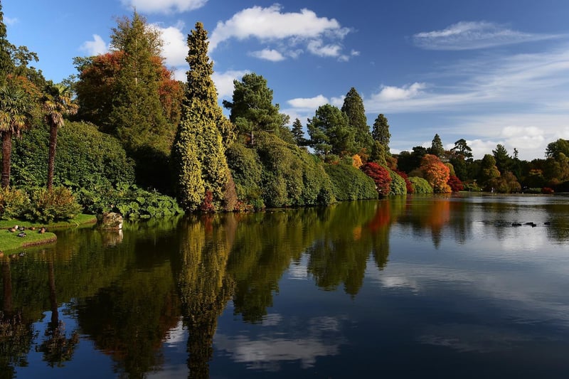 The tenth most common place people arrived in the area from was Wealden, with 68 arrivals in the year to June 2019. Pictured is Sheffield Park in Cuckfield