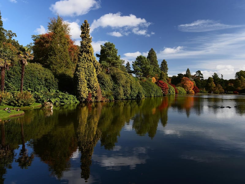 The tenth most common place people arrived in the area from was Wealden, with 68 arrivals in the year to June 2019. Pictured is Sheffield Park in Cuckfield