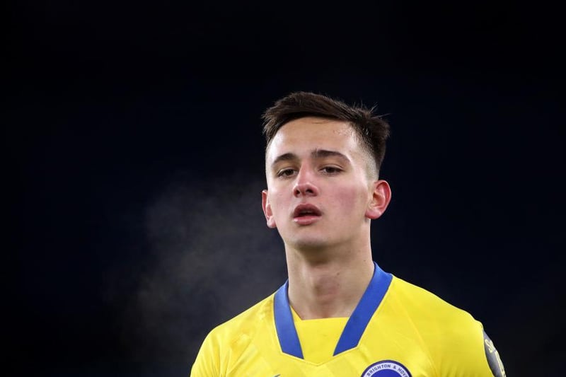 Age 20: The left sided defender or defensive midfielder signed from Legia Warsaw for around 3 million. He already has three caps for his country and made his debut for Albion the FA Cup against Leicester earlier this season. He has a Polish league winners medal and last year was named by Uefa as one of the best young players to look out for.