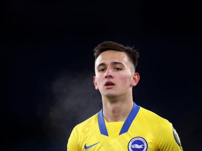 Age 20: The left sided defender or defensive midfielder signed from Legia Warsaw for around 3 million. He already has three caps for his country and made his debut for Albion the FA Cup against Leicester earlier this season. He has a Polish league winners medal and last year was named by Uefa as one of the best young players to look out for.
