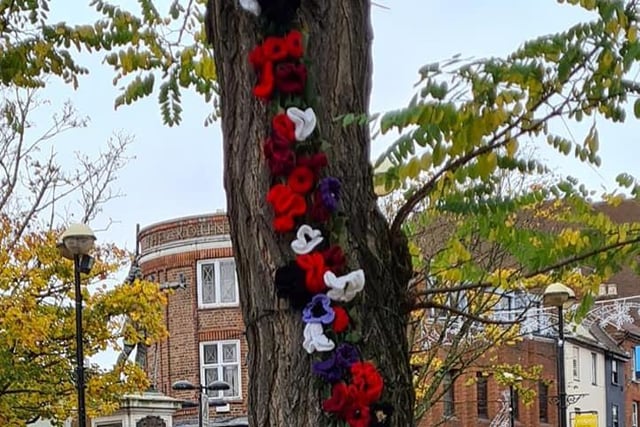 Another poppy covered tree